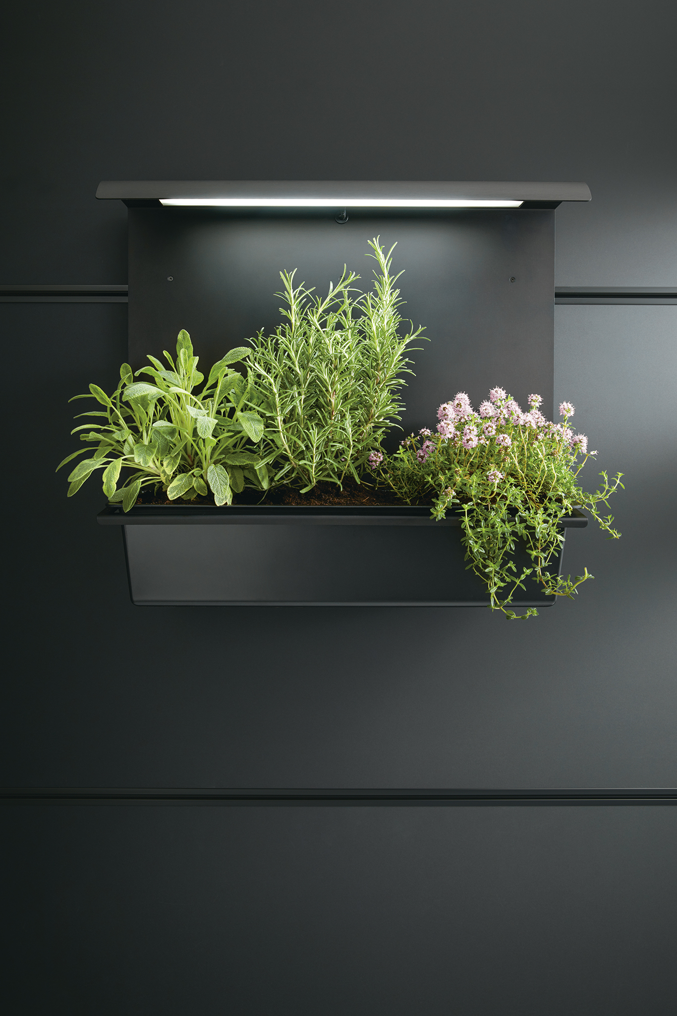 next125 Cube 52 Paneelgarten beleuchtet