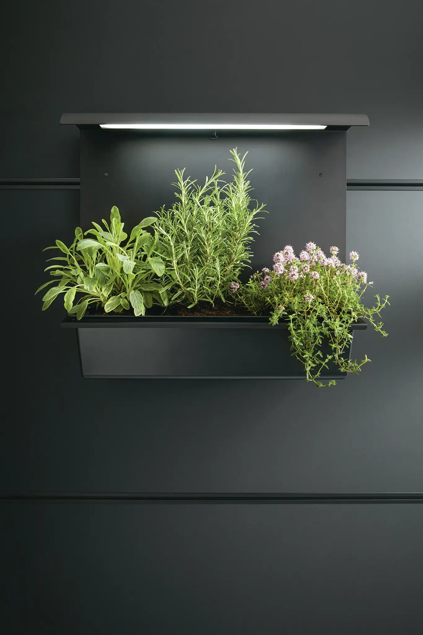 next125 Cube 52 Paneelgarten beleuchtet